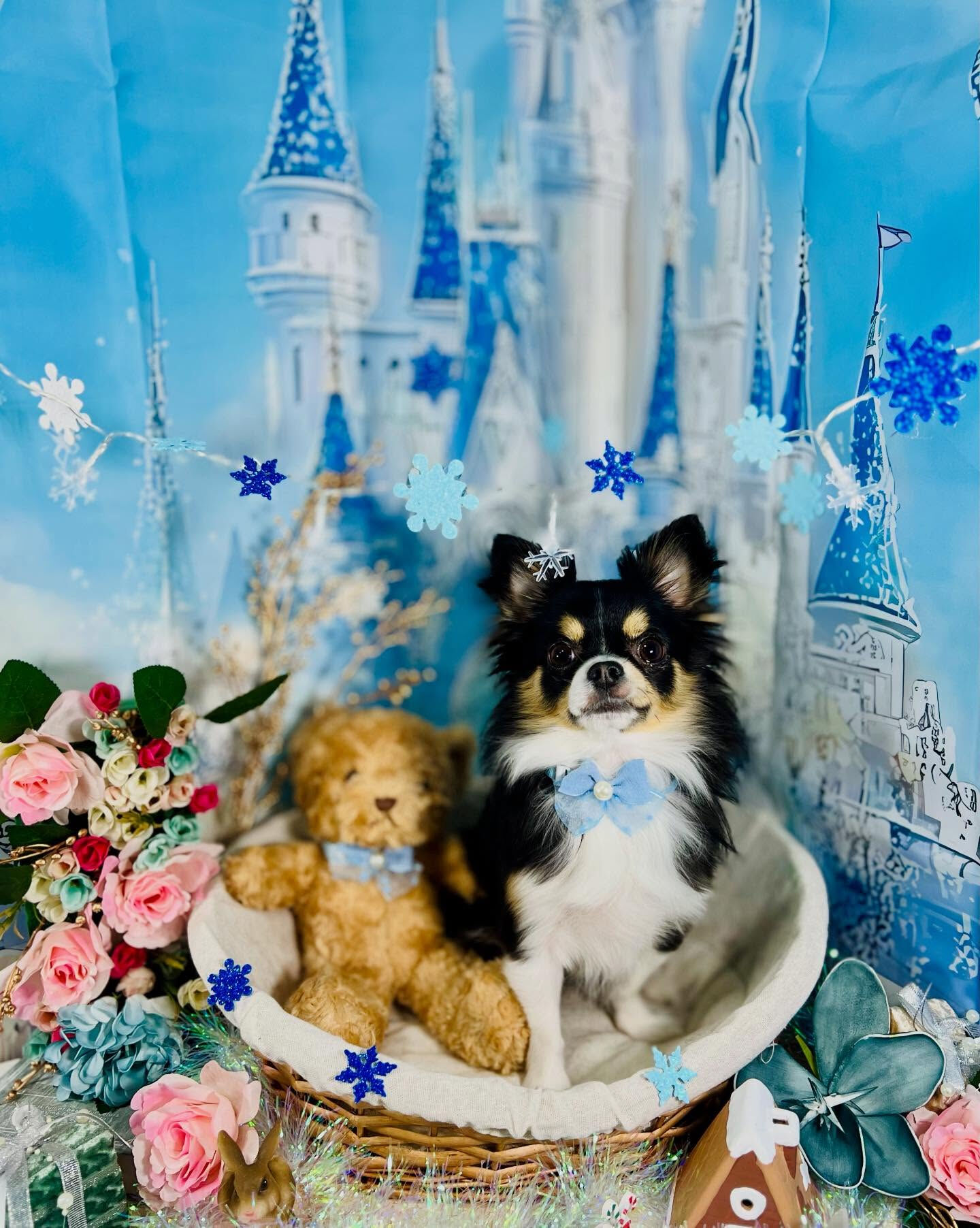 【1〜2月｜冬フォトブース】❄️🏰