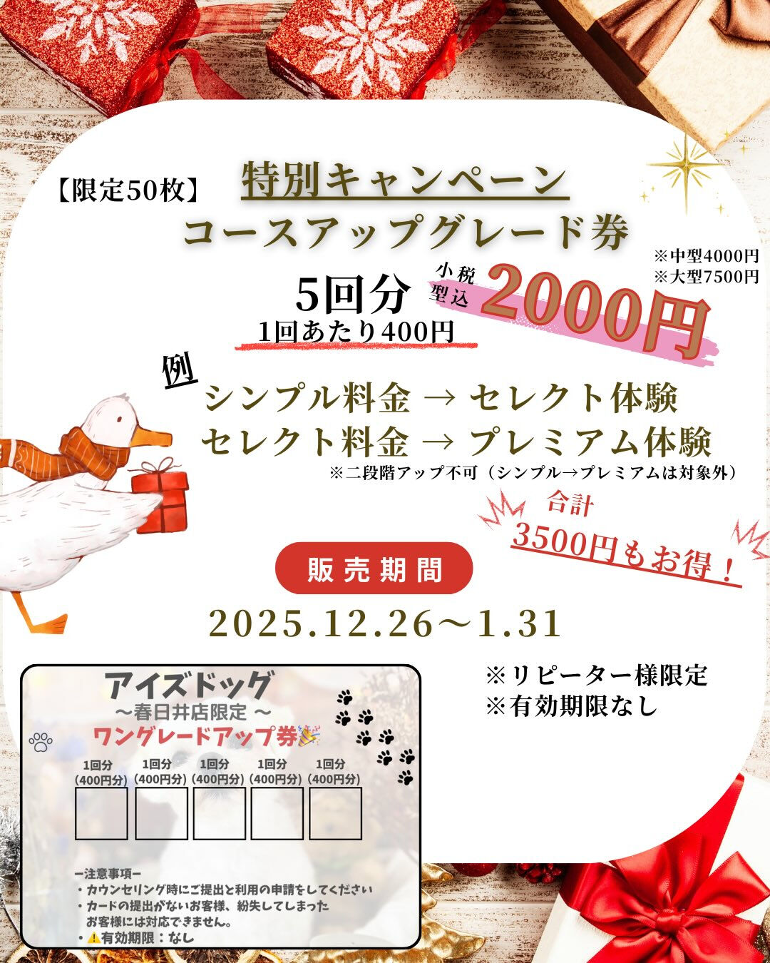 【1〜2月｜冬フォトブース】❄️🏰