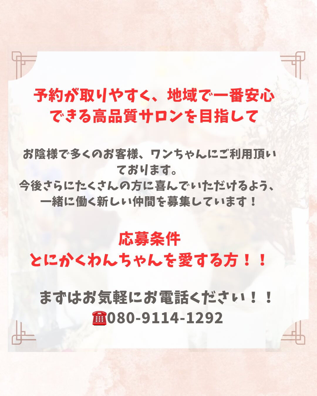 📢【トリミング空き枠のご案内】✂️✨