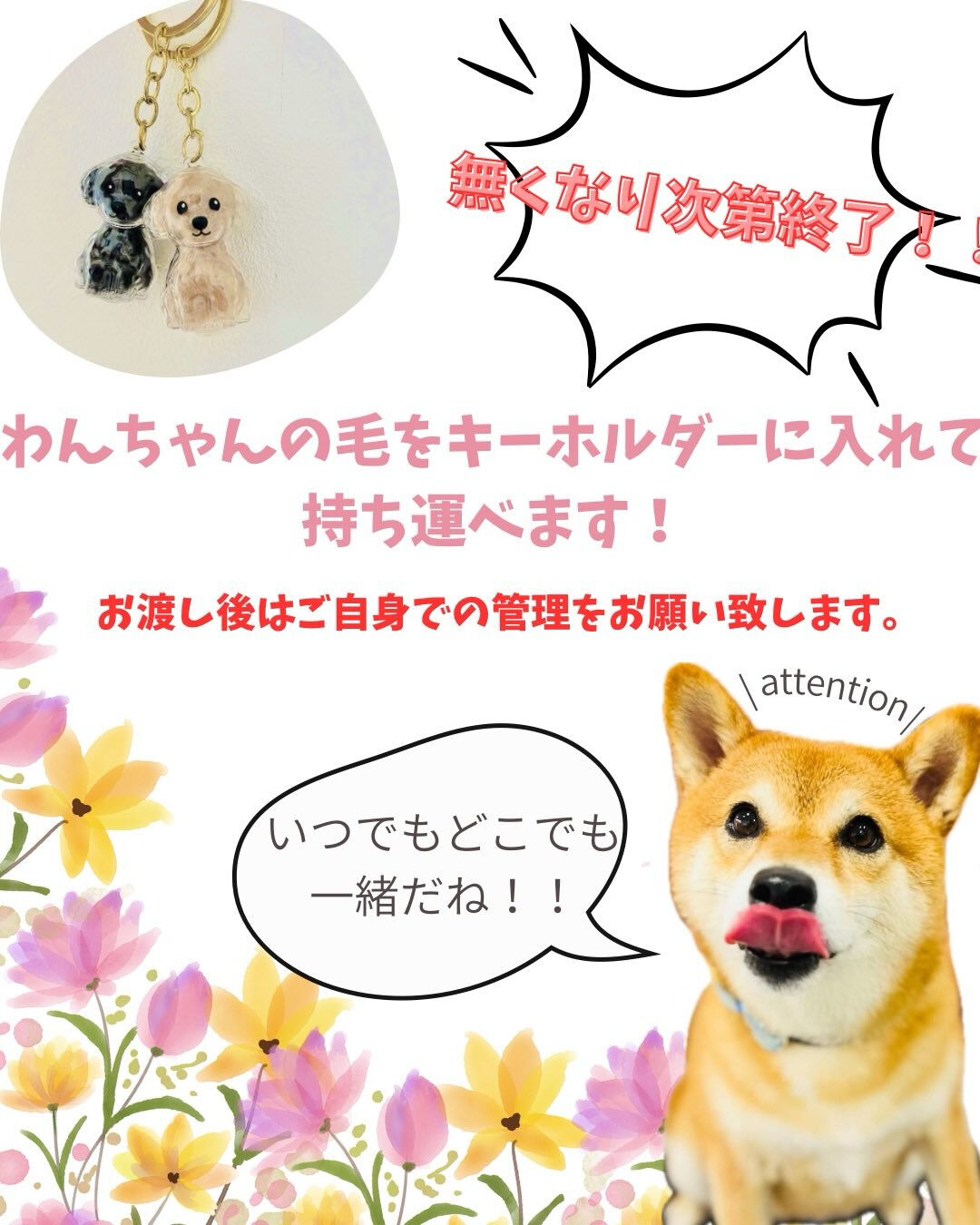 📢【トリミング空き枠のご案内】✂️✨