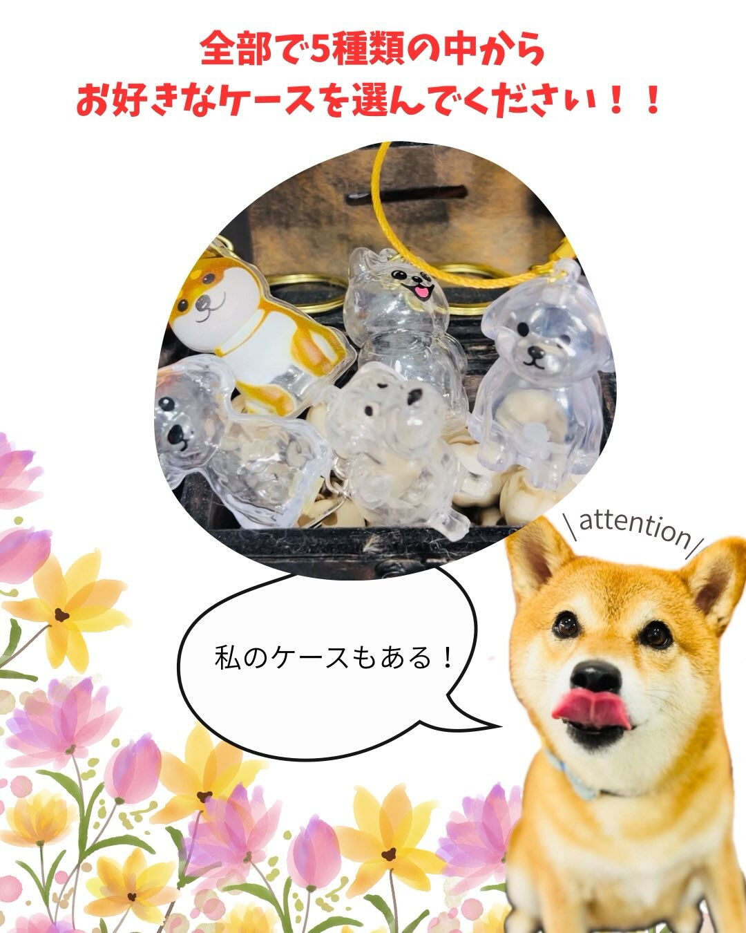 📢【トリミング空き枠のご案内】✂️✨