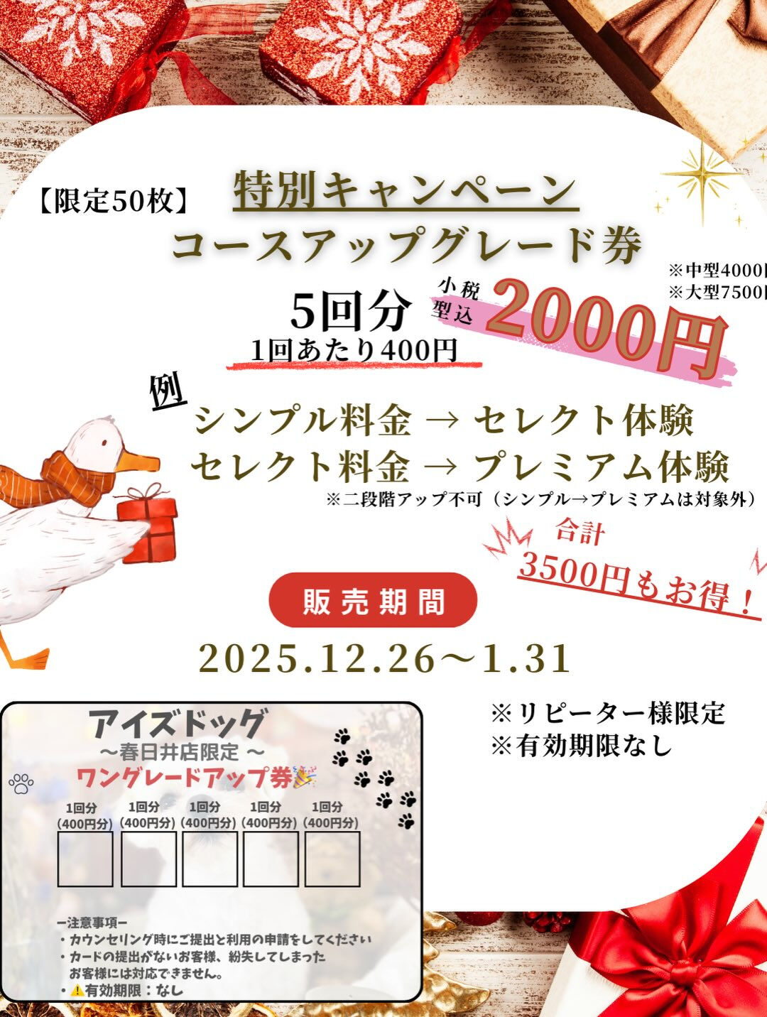 来店いただいたベリーくんです🐶✨