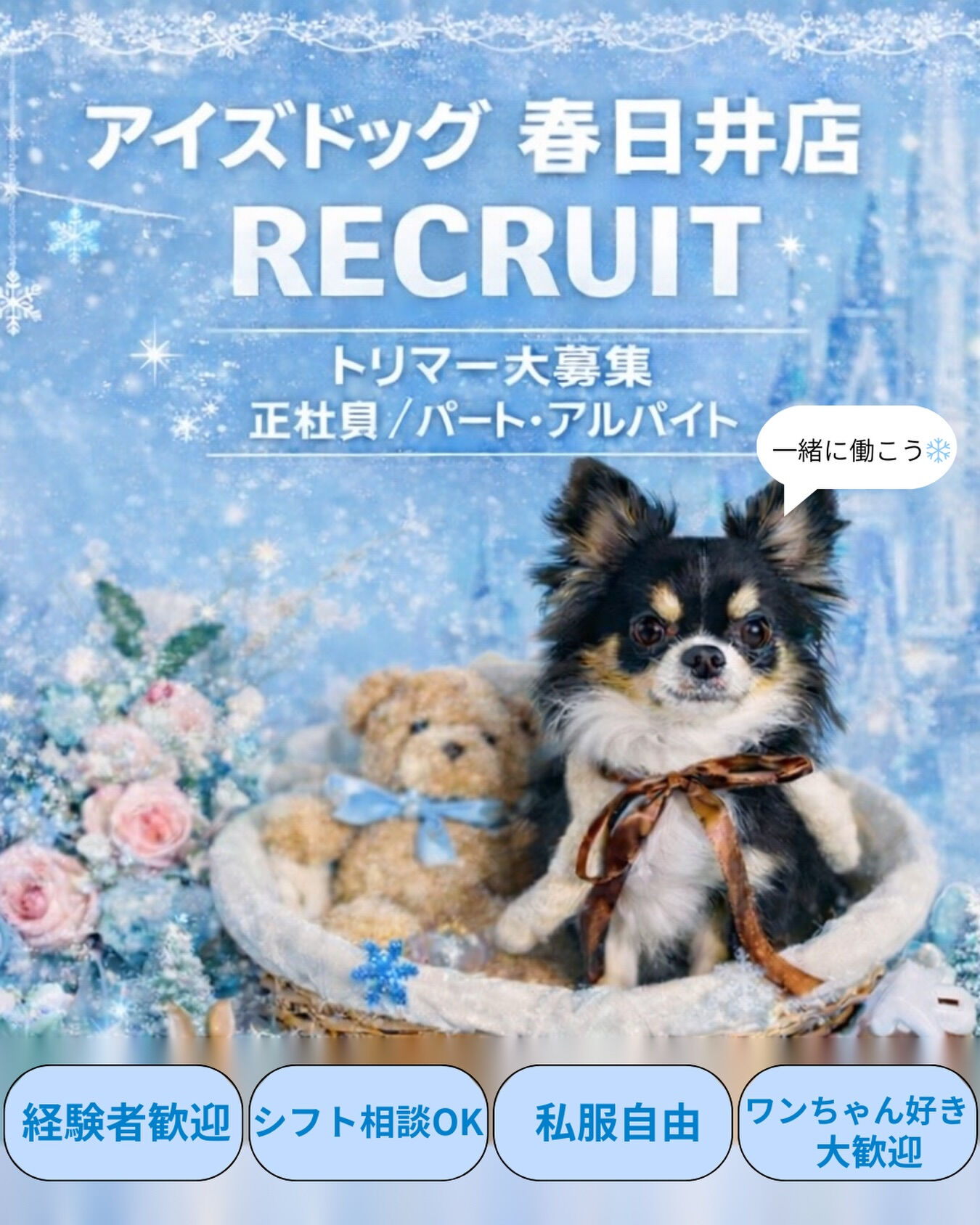 ❄️ トリマーさん募集中 ❄️