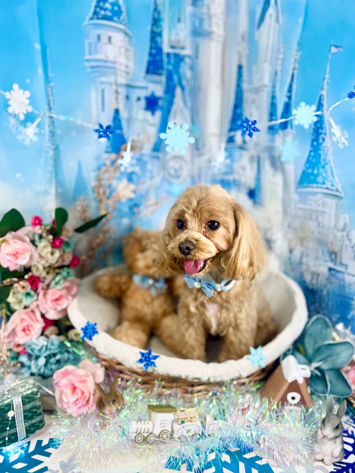 おとぎ話のような「雪のお城」で残す 1〜2月限定フォトブース紹介
