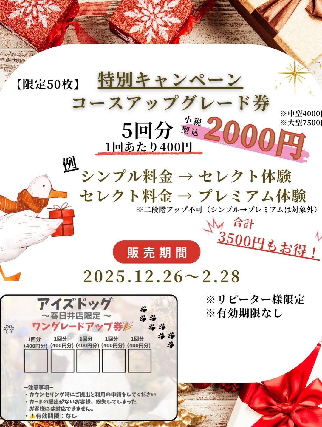 来店いただいたもずくちゃんです🐶✨
