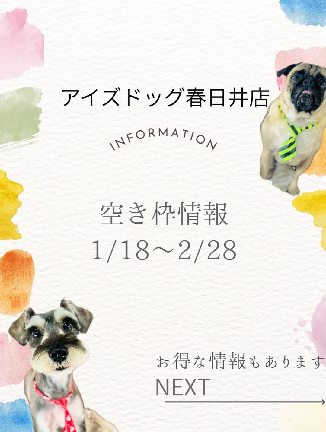 来店いただいたむぎちゃんです🐶✨
