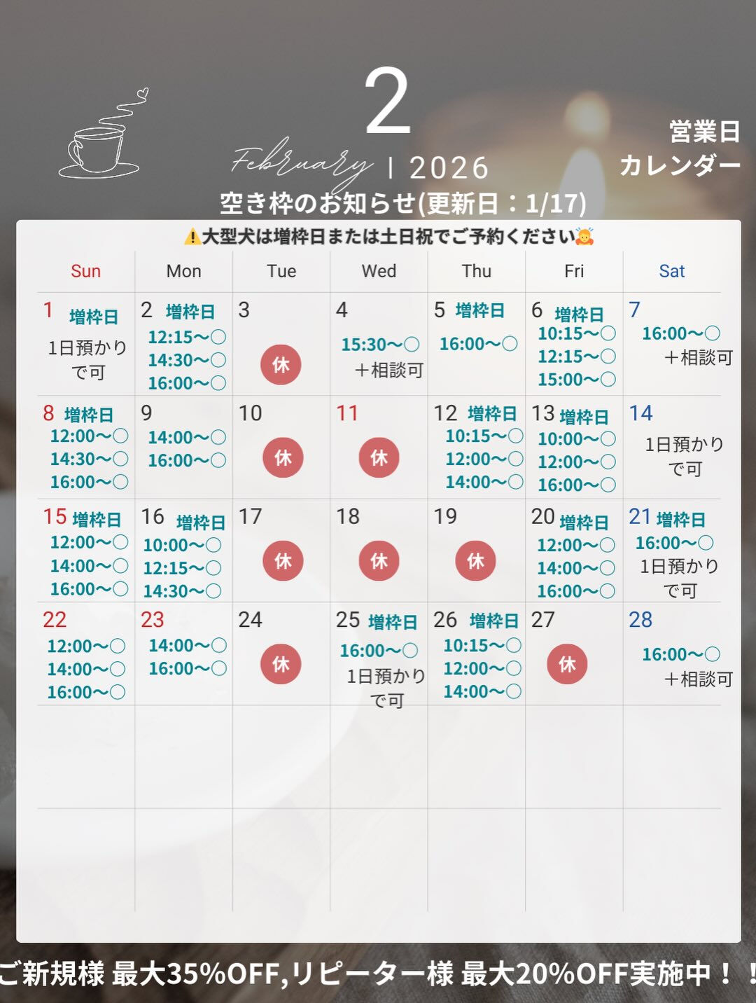 来店いただいたむぎちゃんです🐶✨