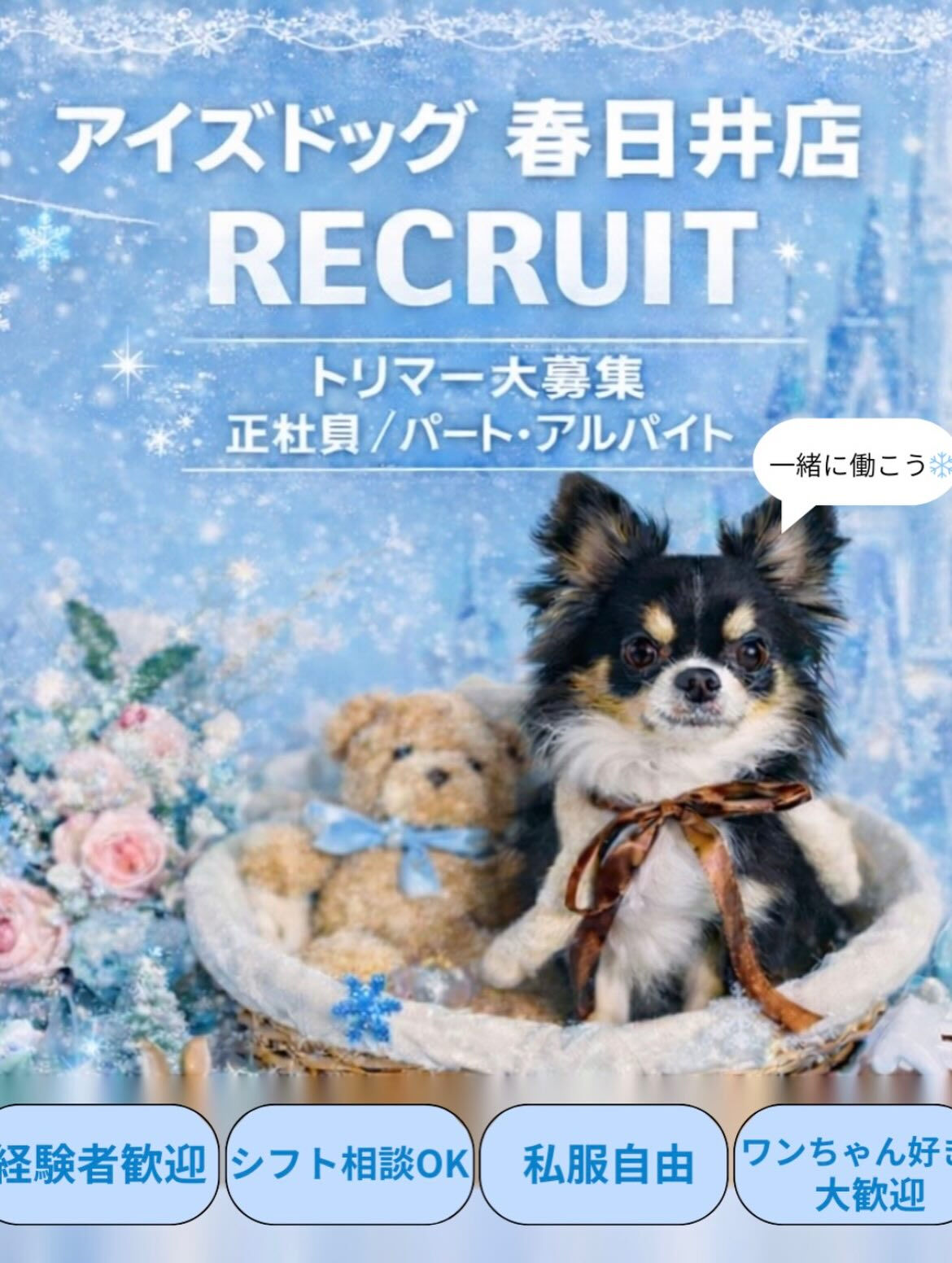 来店いただいた六三四くんです🐶✨