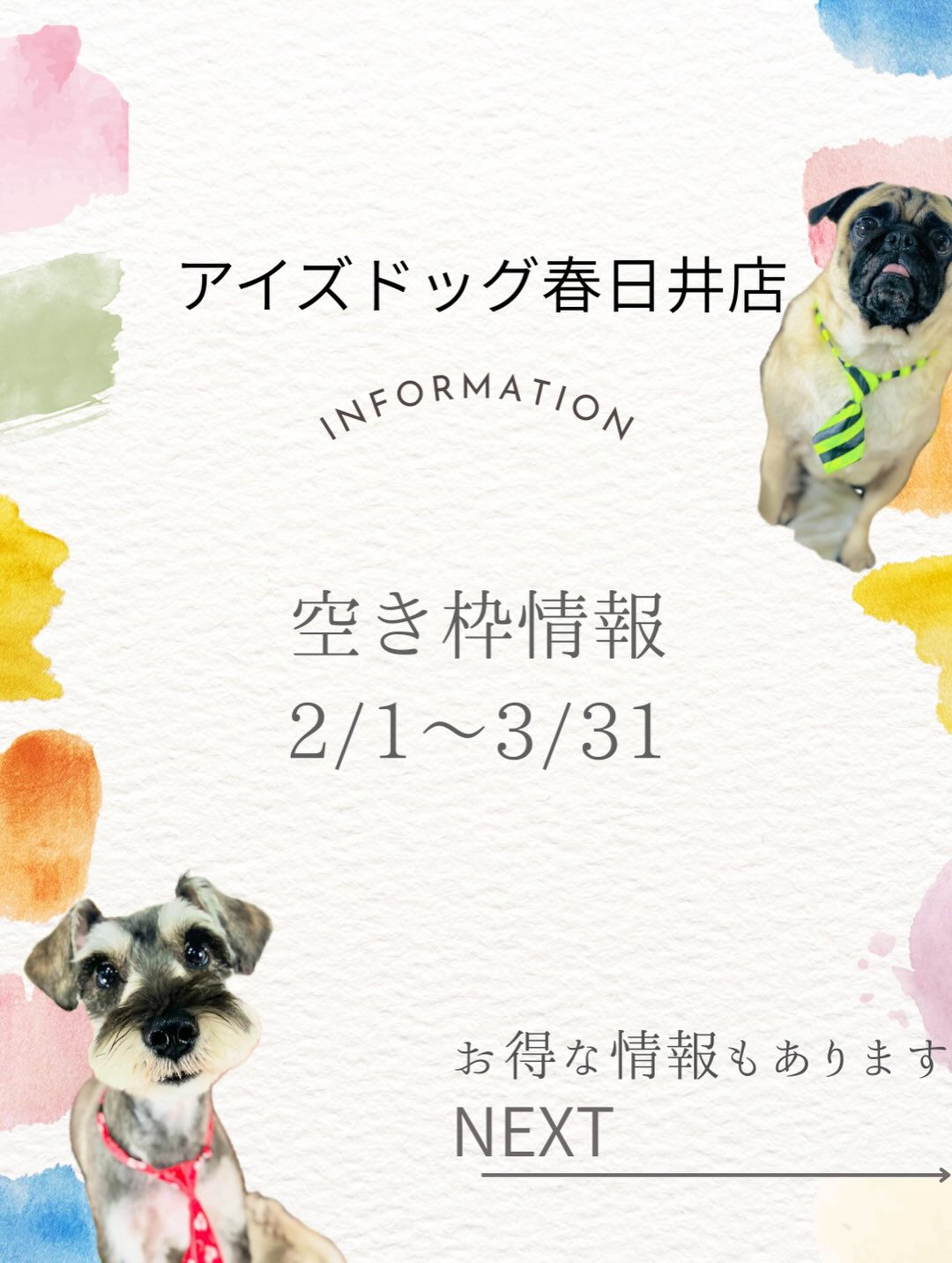 来店いただいた六三四くんです🐶✨