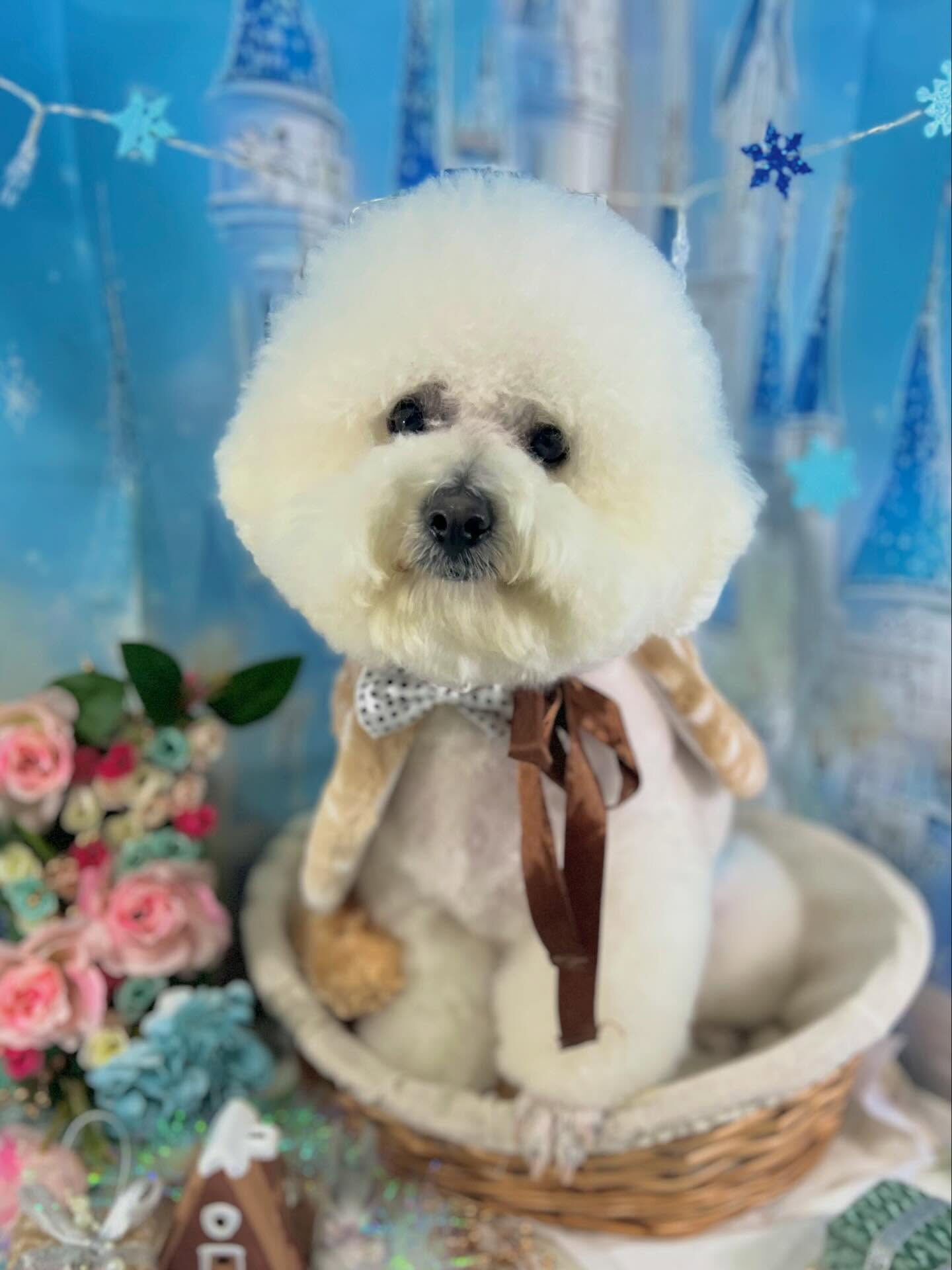 来店いただいたアムロくんです🐶✨