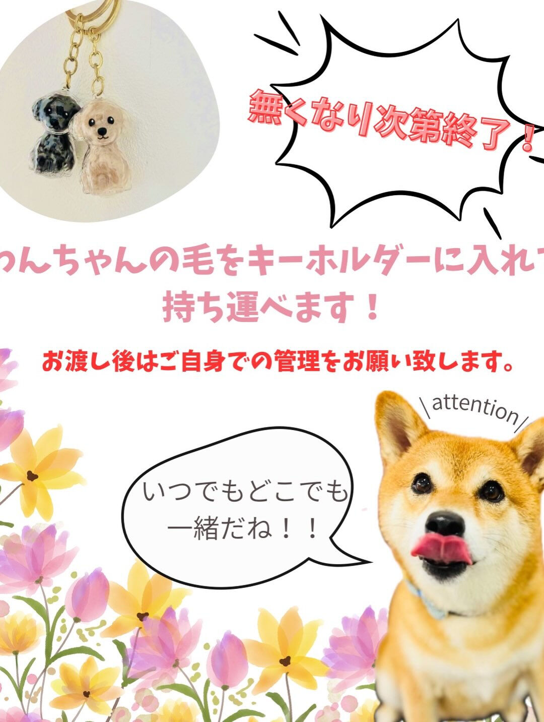来店いただいたチャチャくんです🐶✨