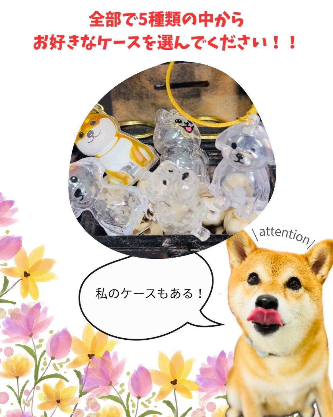 📢【トリミング空き枠のご案内】✂️✨