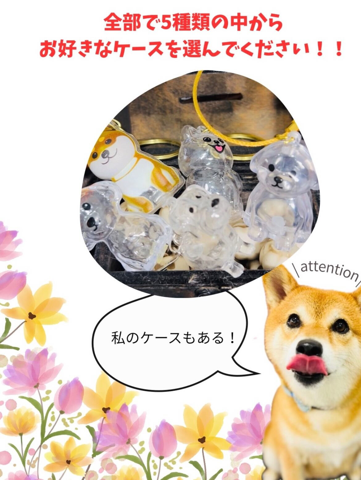 来店いただいたもちのすけくんです🐶✨