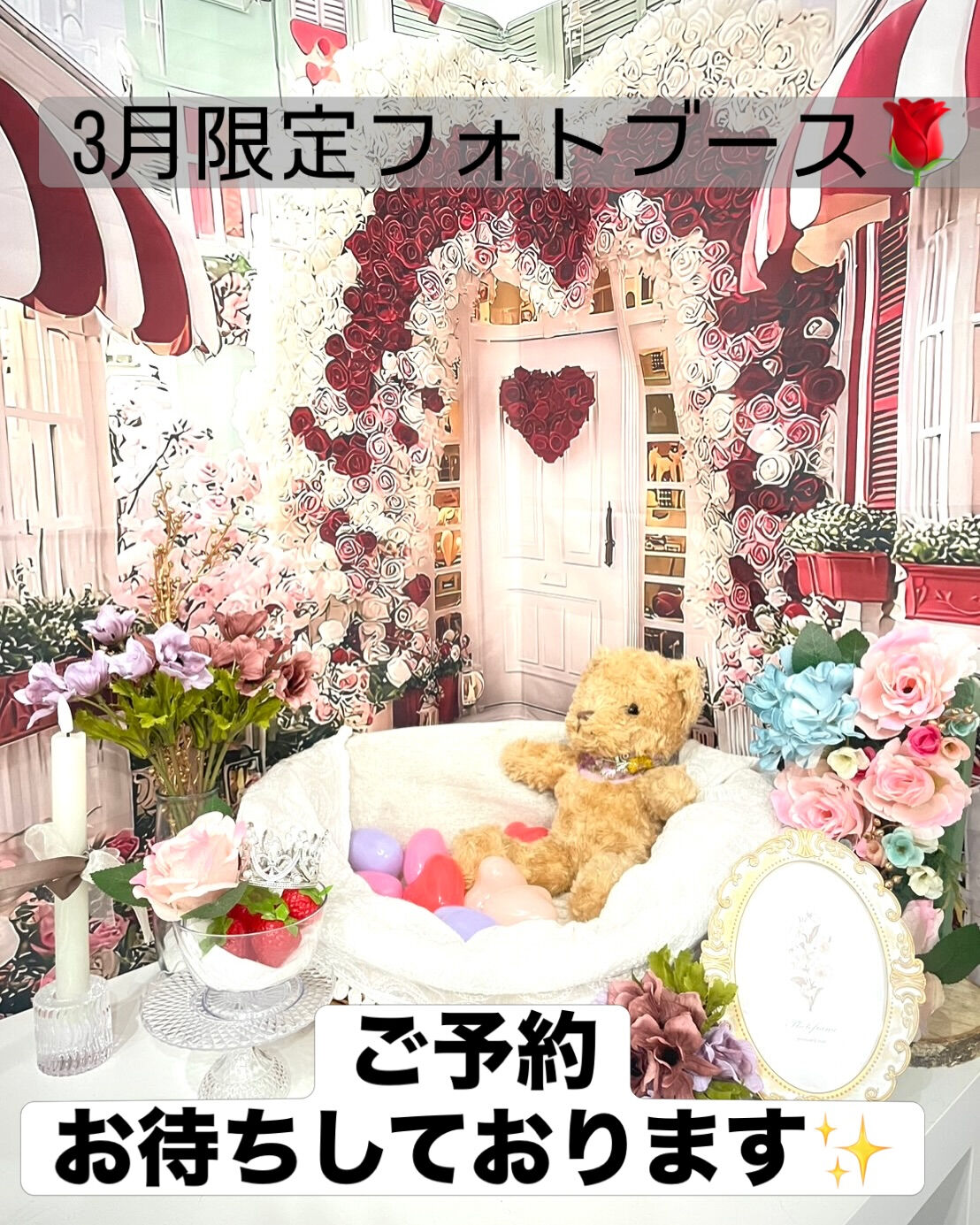 📢【トリミング空き枠のご案内】✂️✨