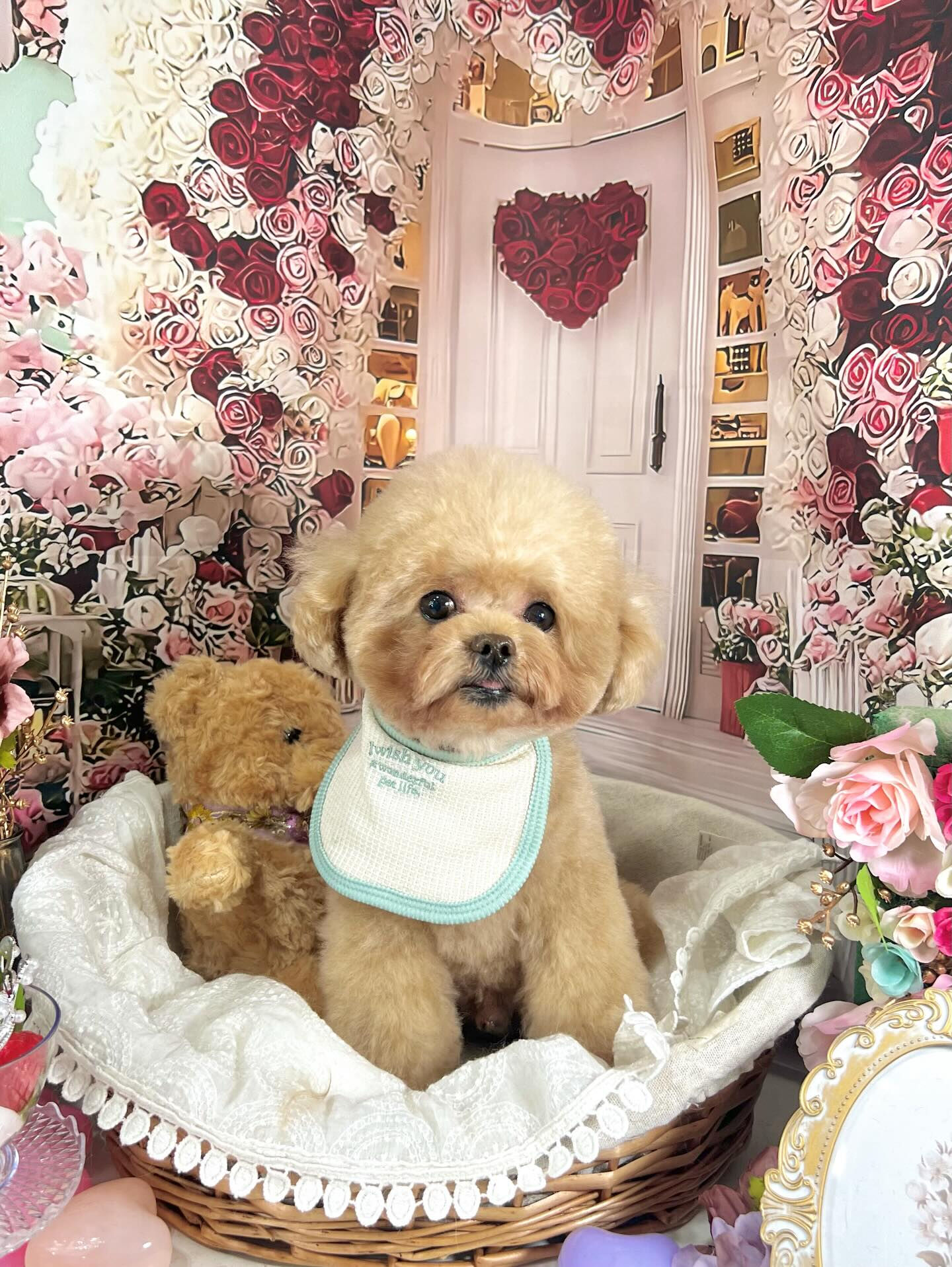 来店いただいたララくんです🐶✨