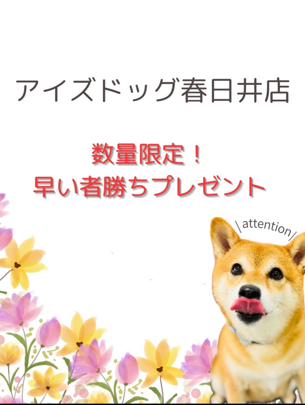 来店いただいたララくんです🐶✨