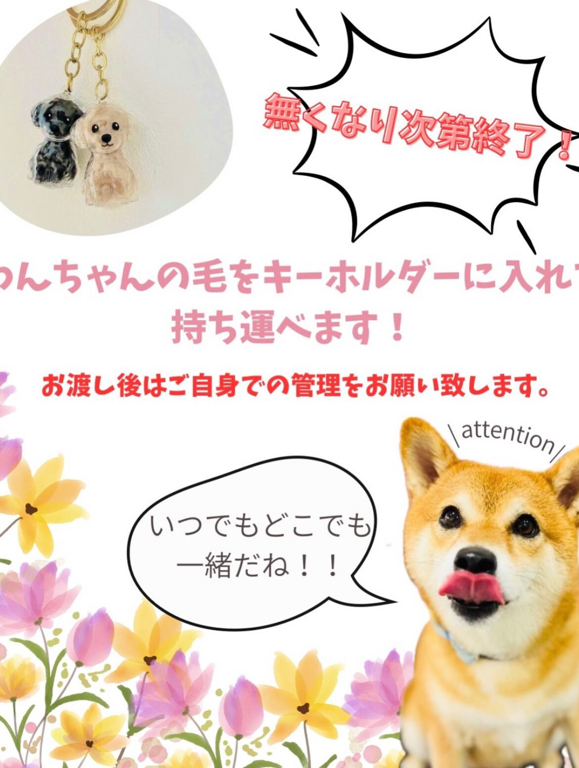 来店いただいたララくんです🐶✨
