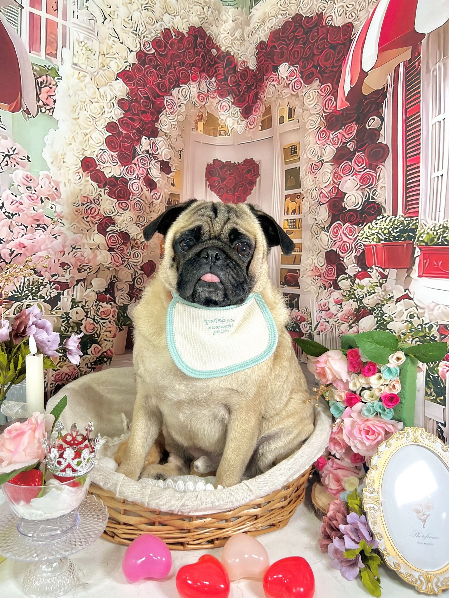 来店いただいた、ブッチャーくんです🐶✨