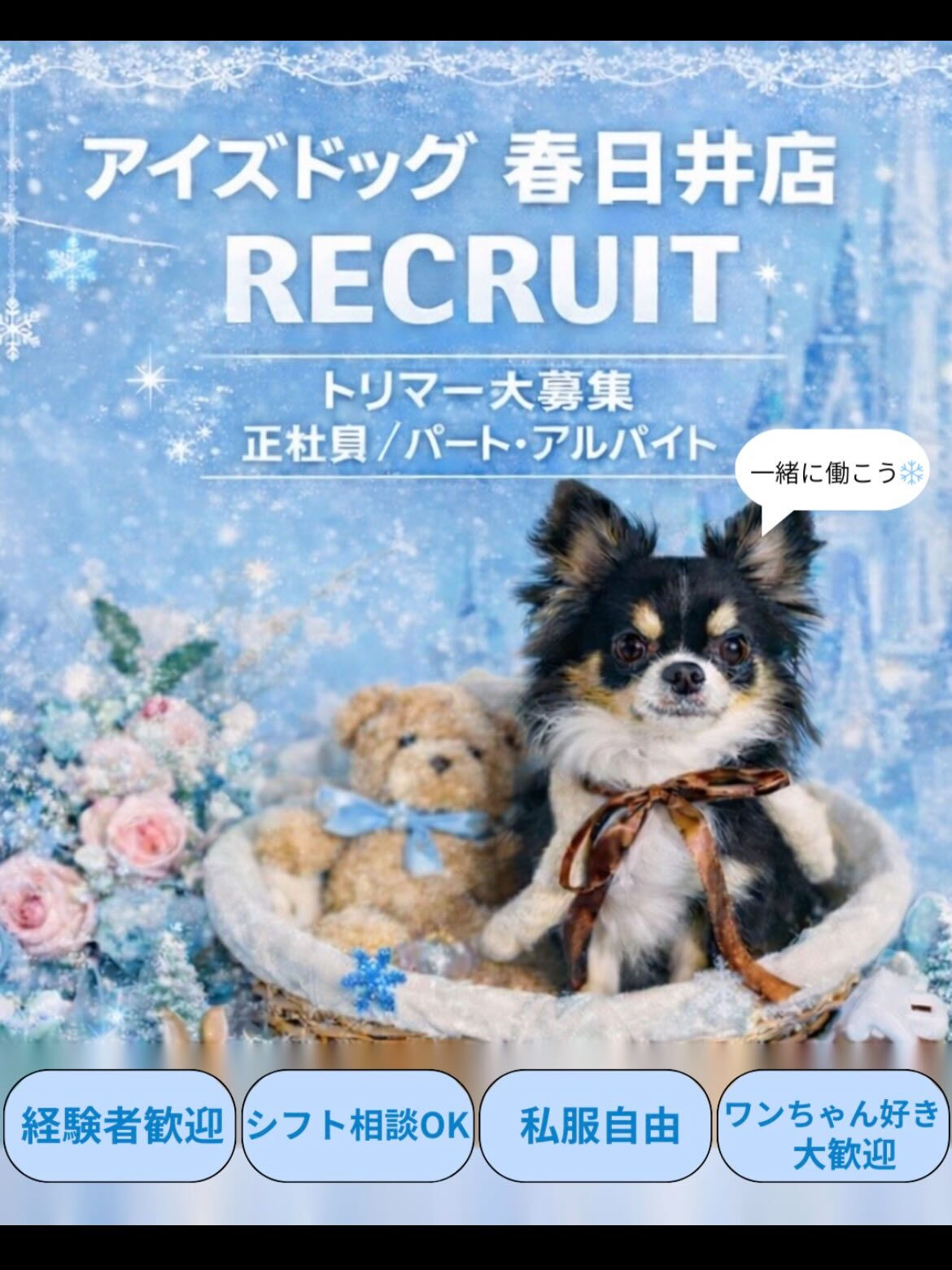来店いただいたエミちゃんです🐶✨
