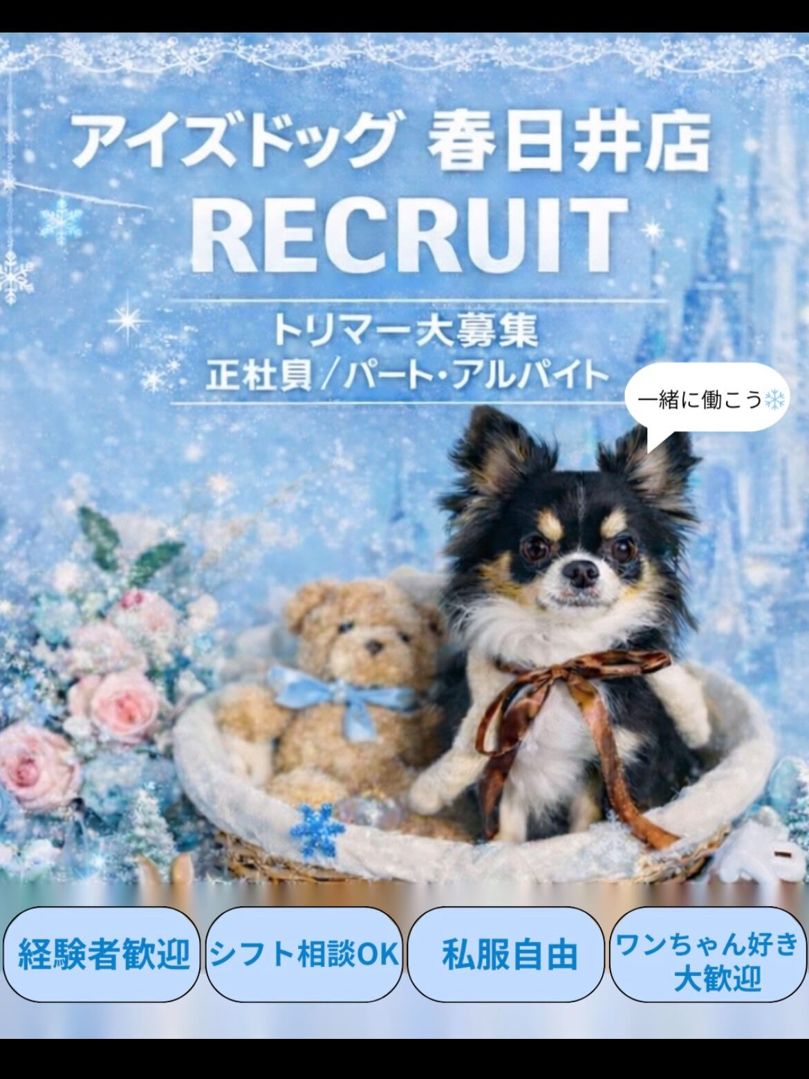 来店いただいたくろすけくんです🐶✨