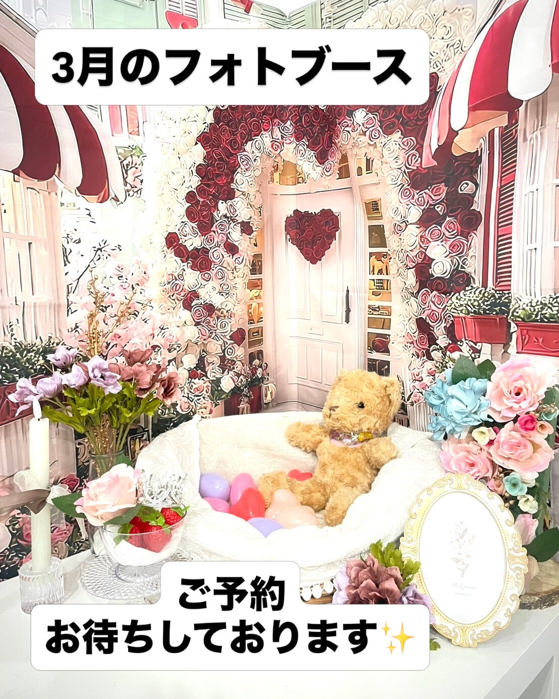📢【トリミング空き枠のご案内】✂️✨