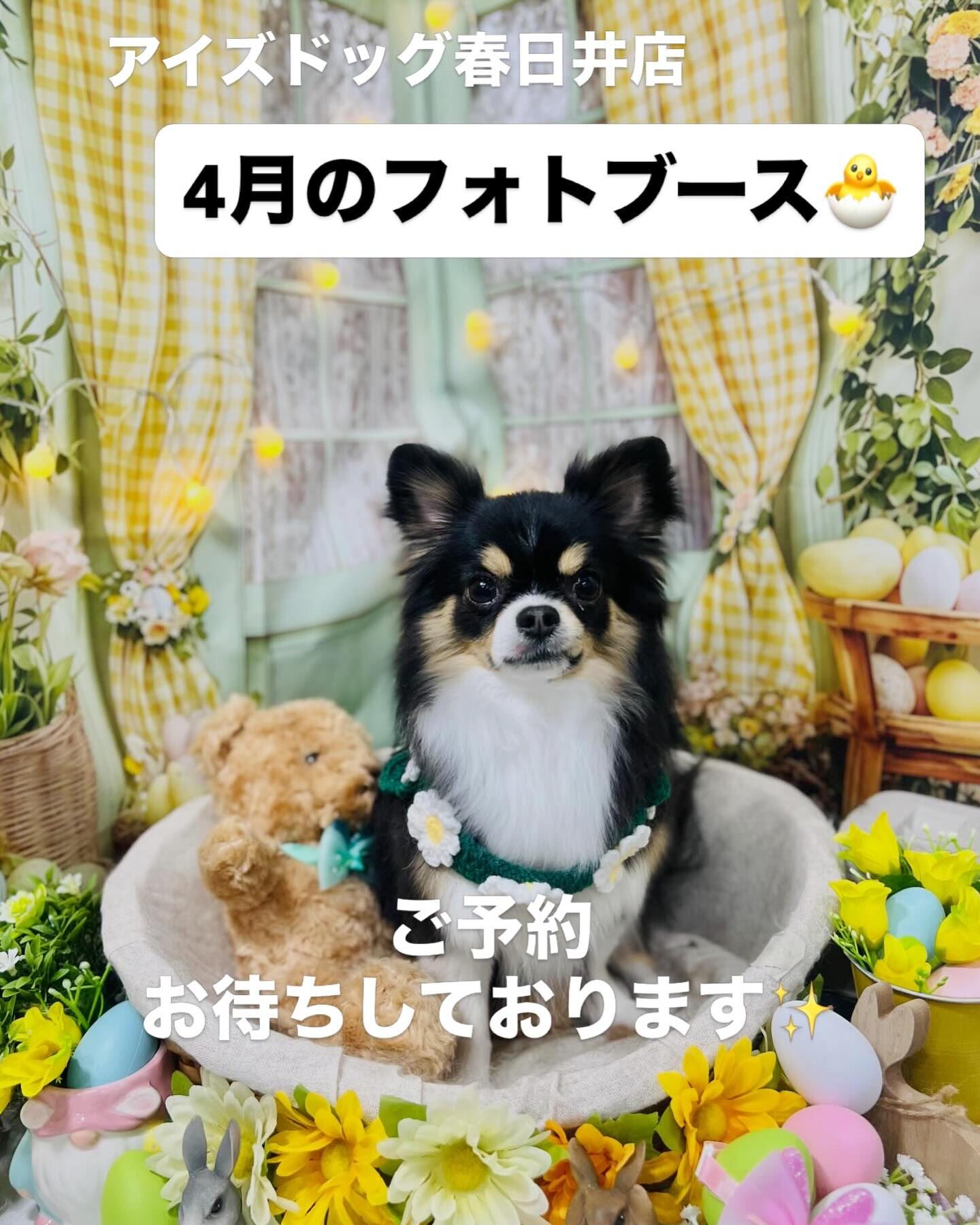 【4月｜イースタースプリングフォトブース】🐣🌼