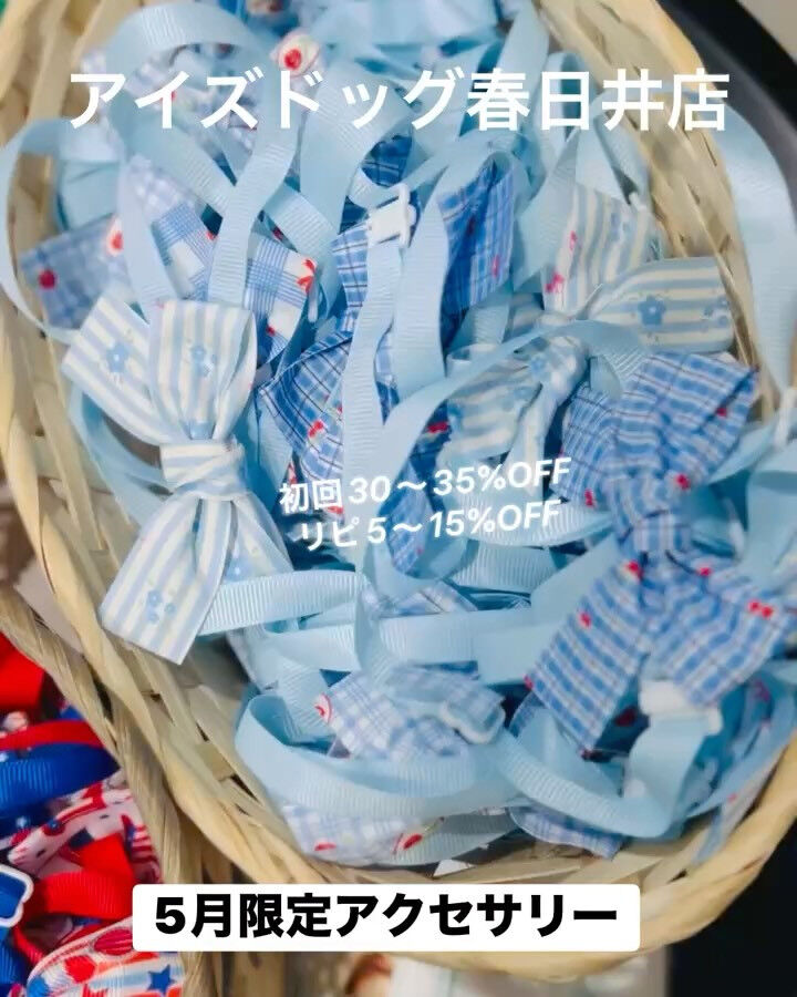 📢【トリミング空き枠のご案内】✂️✨