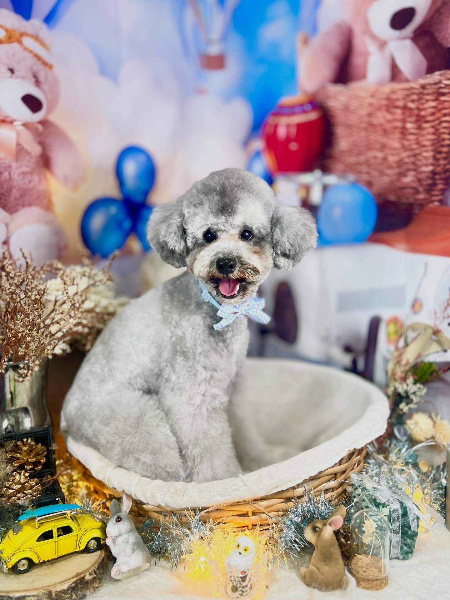 来店いただいたくろすけくんです🐶✨