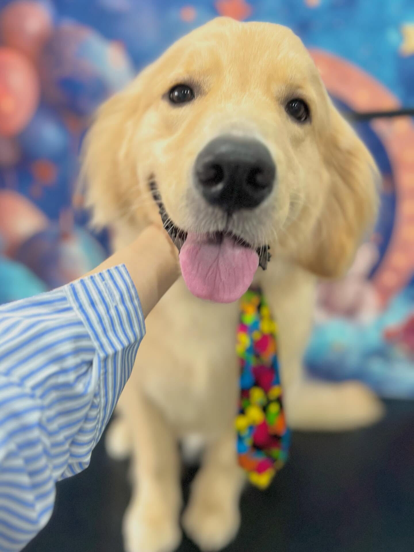 来店いただいたパン太くんです🐶✨