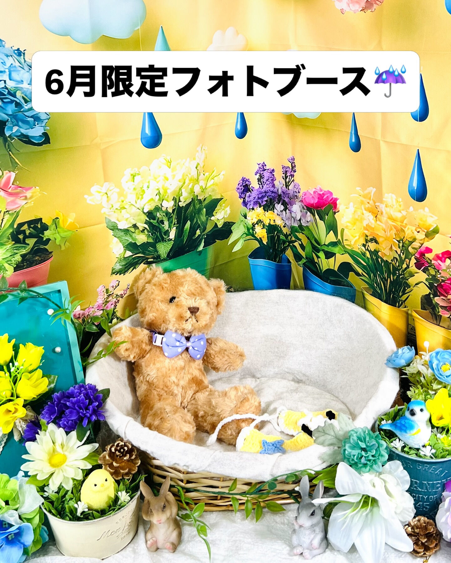📢【トリミング空き枠のご案内】✂️✨