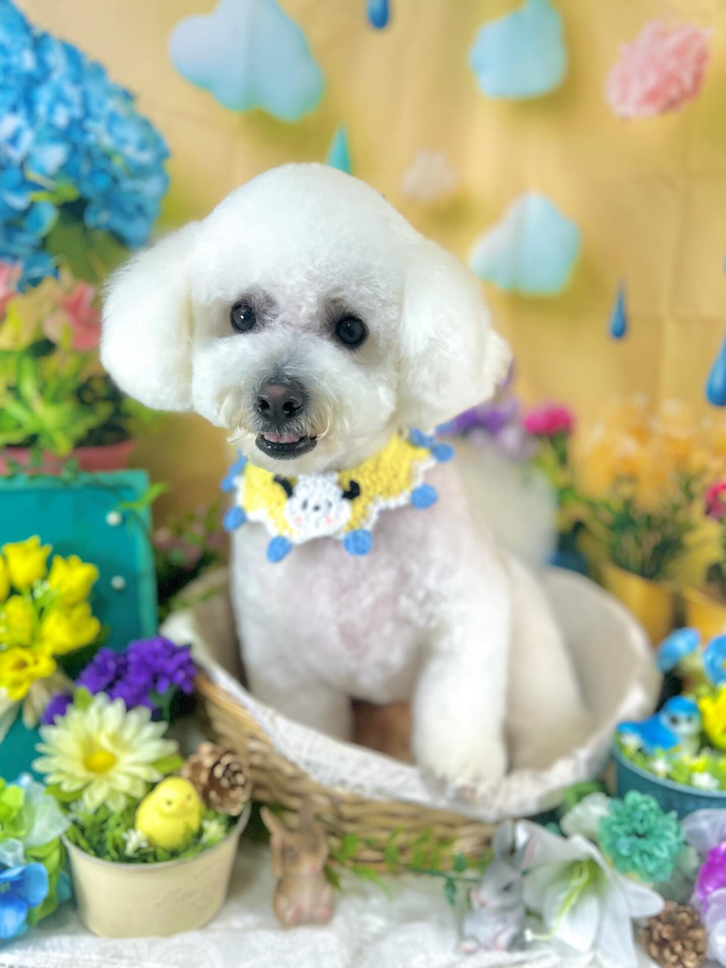 来店いただいたアムロくんです🐶✨