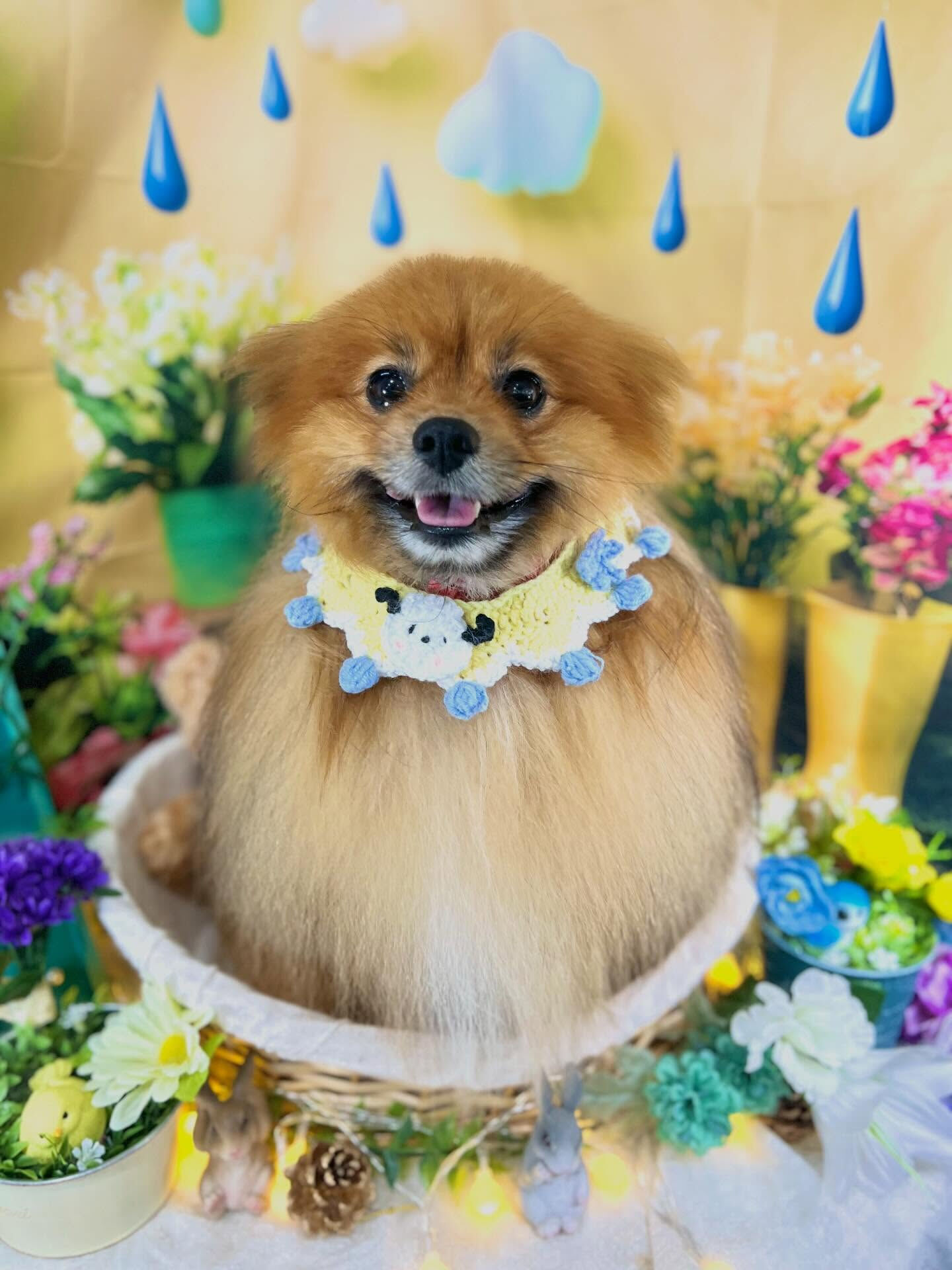 来店いただいた、ごん太くんです🐶✨