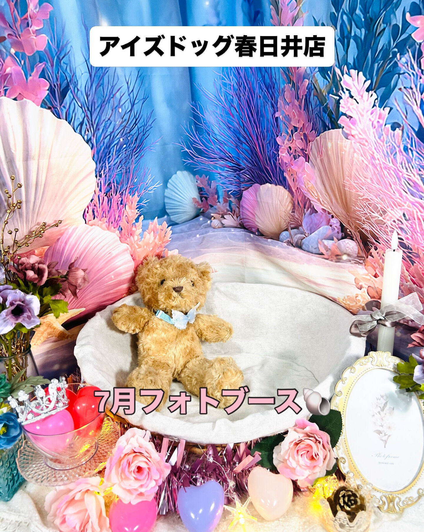 📢【トリミング空き枠のご案内】✂️✨