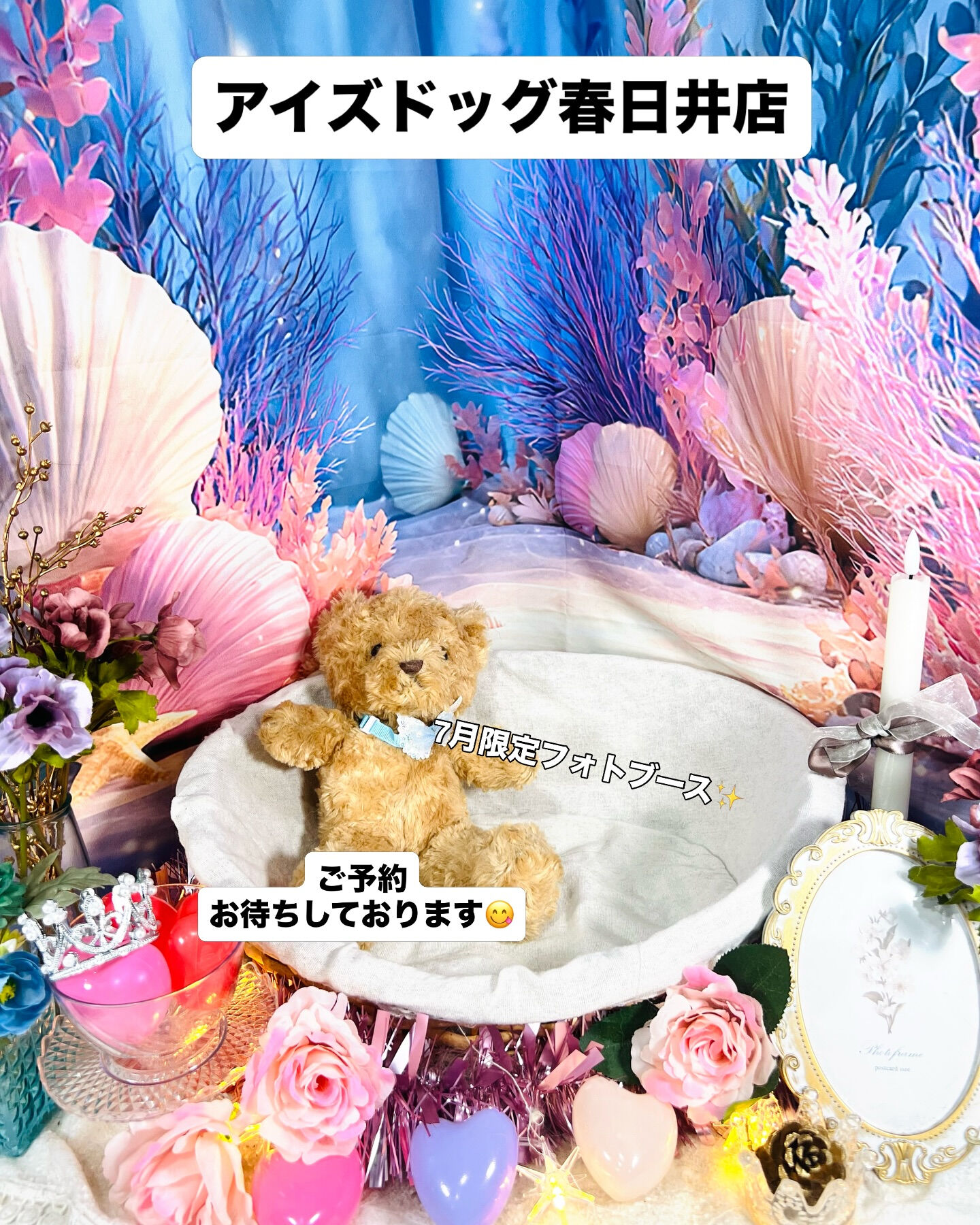 📢【トリミング空き枠のご案内】✂️✨