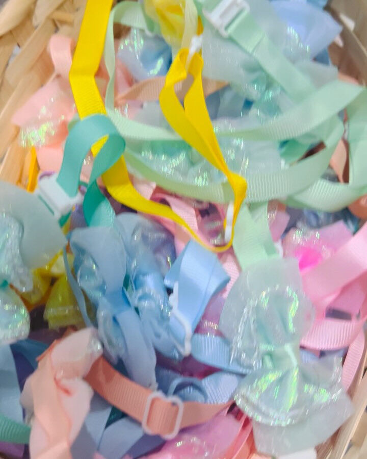 📢【トリミング空き枠のご案内】✂️✨