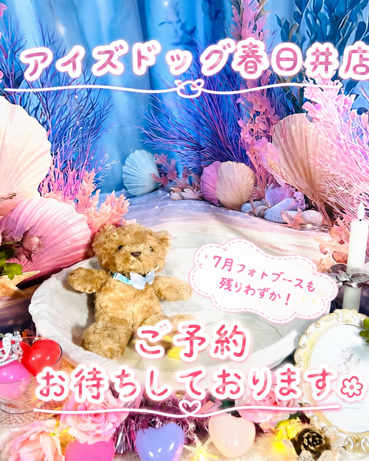 📢【トリミング空き枠のご案内】✂️✨