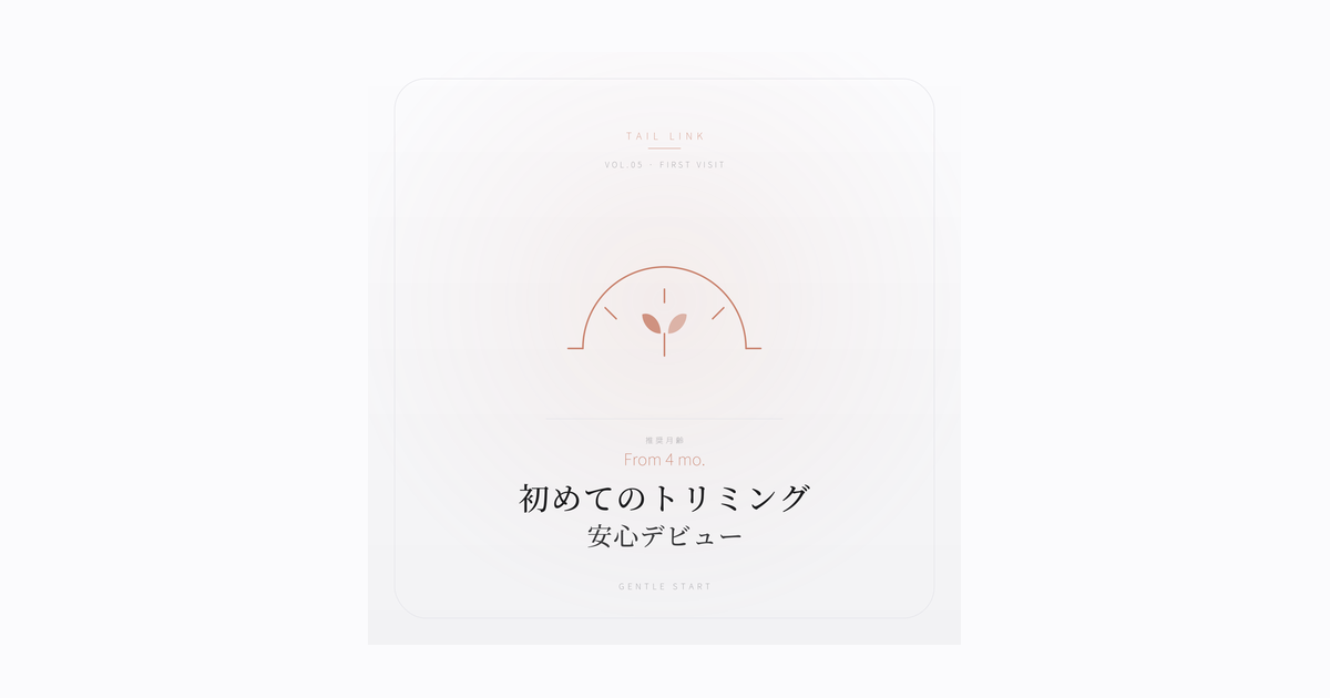 春日井で初めてのトリミング｜不安TOP3と当日までの準備の全て