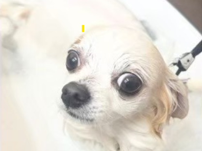 炭酸泉