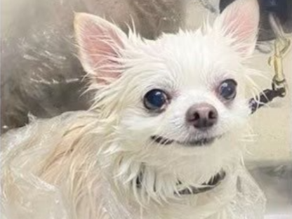トリートメント